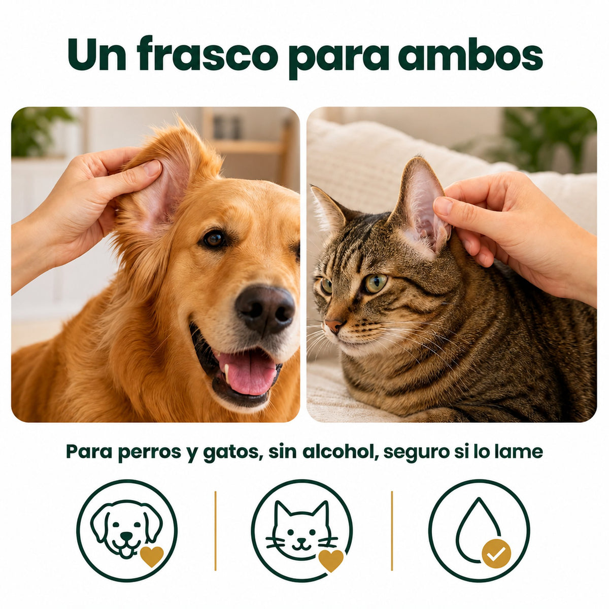Oriso – Limpiador de oídos para perro y gato · Reserva: envío desde el 18/11, cancelable hasta el envío