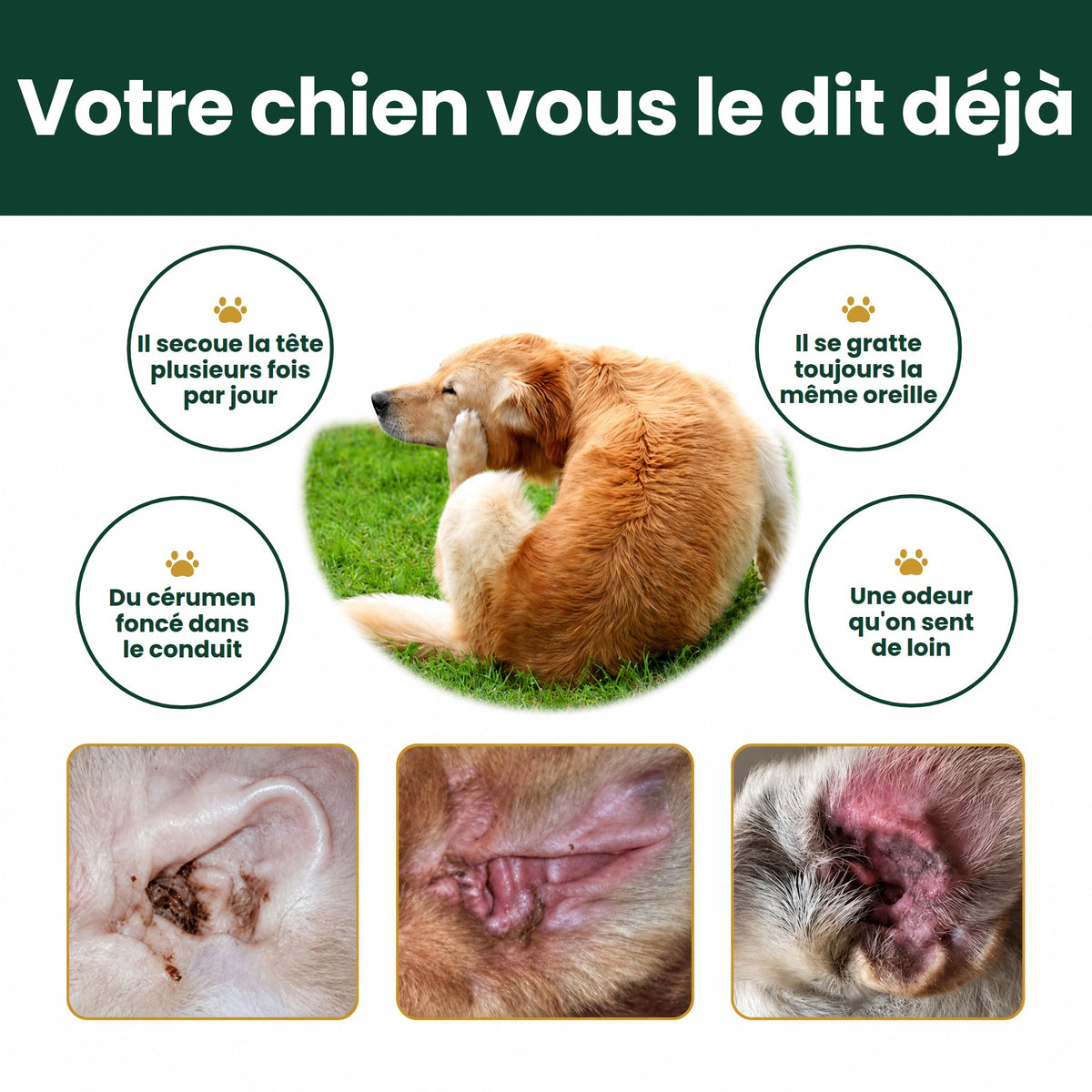 Oriso – Nettoyant oreilles pour chien et chat