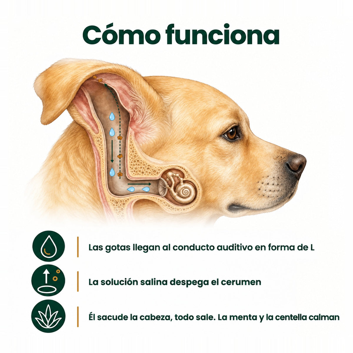 Oriso – Limpiador de oídos para perro y gato · Reserva: envío desde el 18/11, cancelable hasta el envío