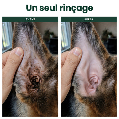 Oriso – Nettoyant oreilles pour chien et chat