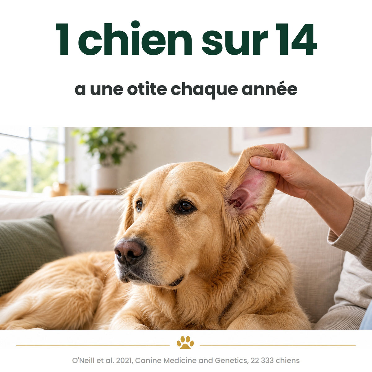 Oriso – Nettoyant oreilles pour chien et chat