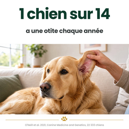 Oriso – Nettoyant oreilles pour chien et chat
